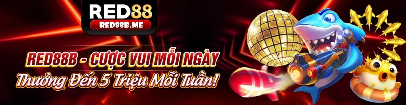 Banner khuyến mãi thành viên mới vty05 chính thức